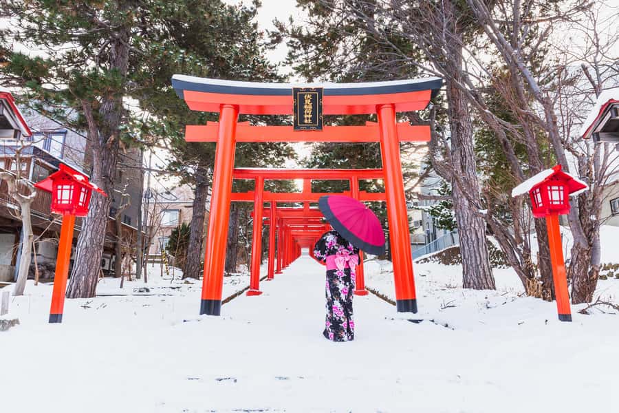 From Osaka: Kyoto & Nara Highlights Day Tour (7 attractions) - Nara Park Deer Time: Friendly Animals and Easy First Photos