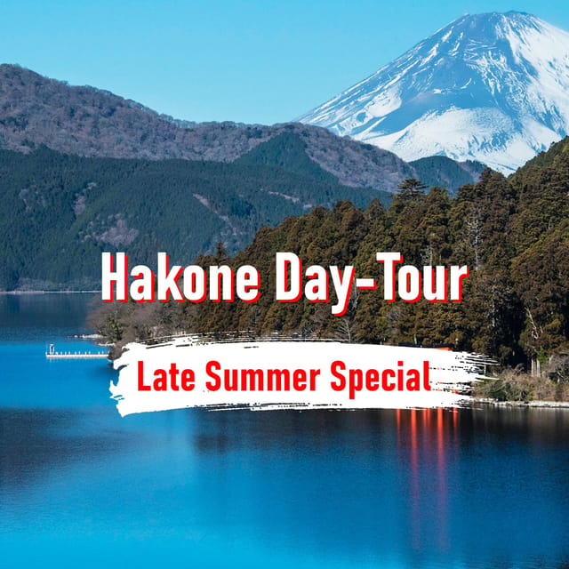 From Tokyo: 10-hour Hakone Private Custom Tour - Key Points to Know Before You Go