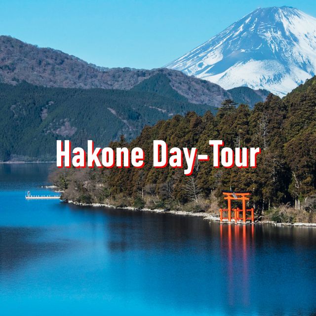 From Tokyo: 10-hour Hakone Private Custom Tour - Why a Private 10-Hour Car Makes Hakone Easier