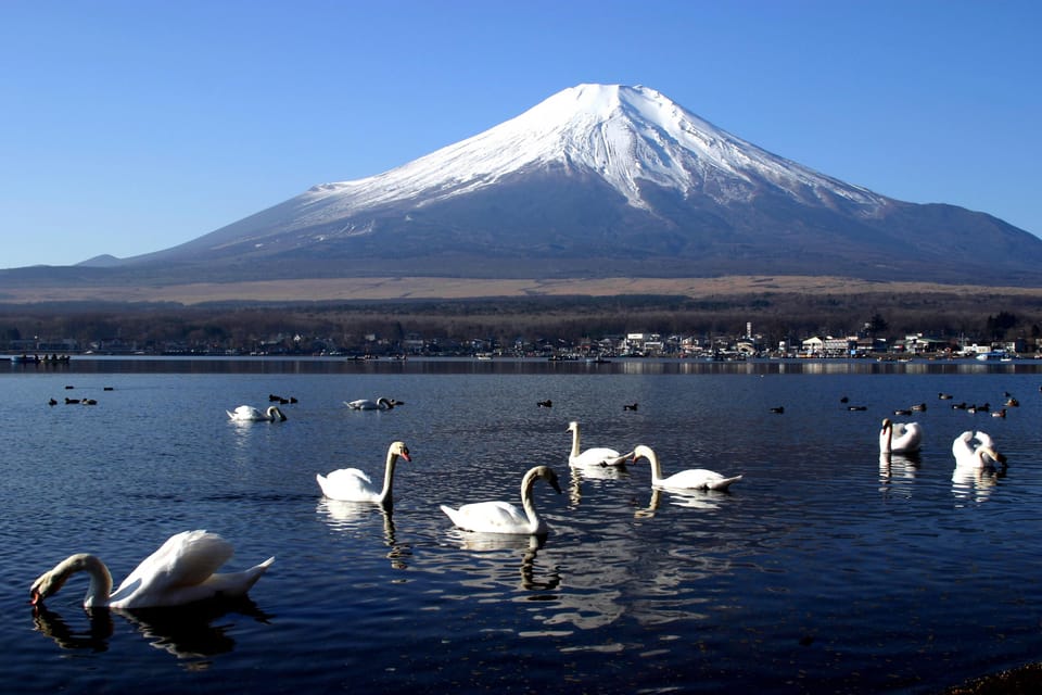 From Tokyo: Fuji Mountain Area - FujiQ - Lake Kawaguchiko - Chureito Pagoda - Oishi Park: The Fuji Photo That Actually Feels Peaceful