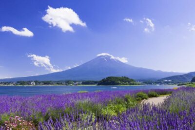 From Tokyo: Fuji Mountain Area - FujiQ - Lake Kawaguchiko - Chureito Pagoda - Leaving Tokyo: Private Alphard, Wi‑Fi, and Real Road Time