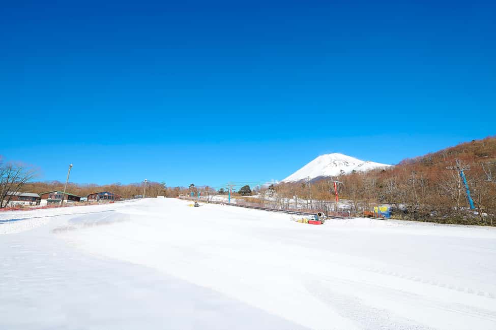 From Tokyo : Fujiyama Snow Resort Yeti Day Tour - Tokyo to Fujiyama: a smooth start with a strict meeting time