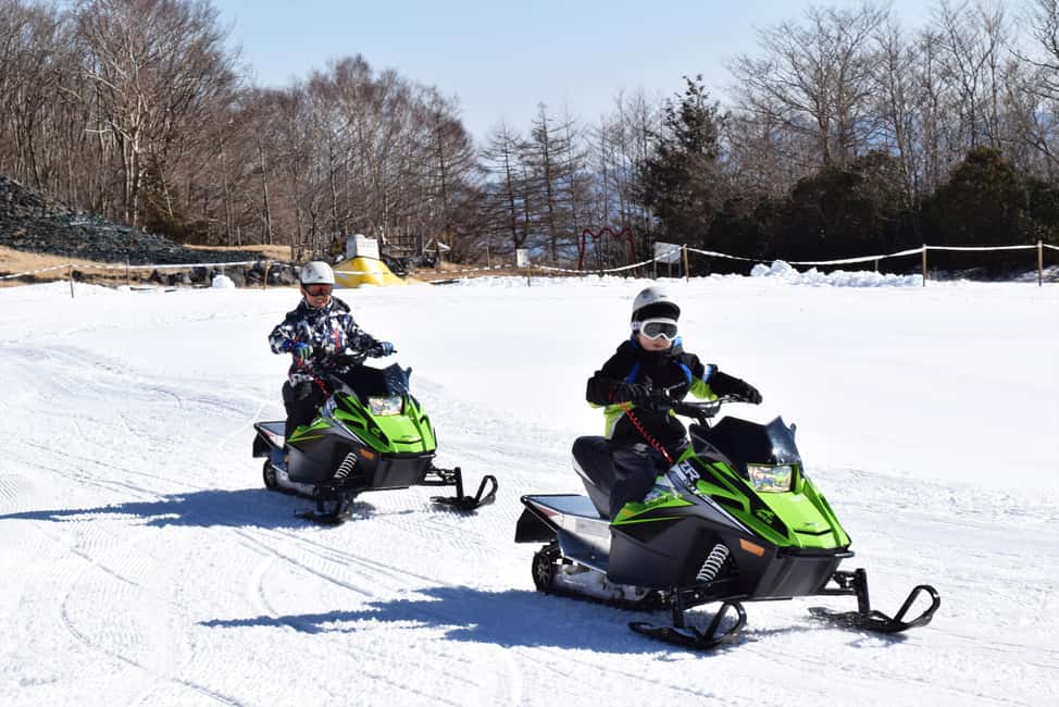 From Tokyo: Fujiyama Snow Resort Yeti Winter Ski Day Tour - Price and value: why the base price can be a little misleading