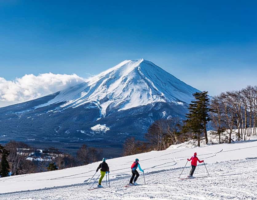 From Tokyo: Fujiyama Snow Resort Yeti Winter Ski Day Tour - Who this tour is best for (and who should reconsider)