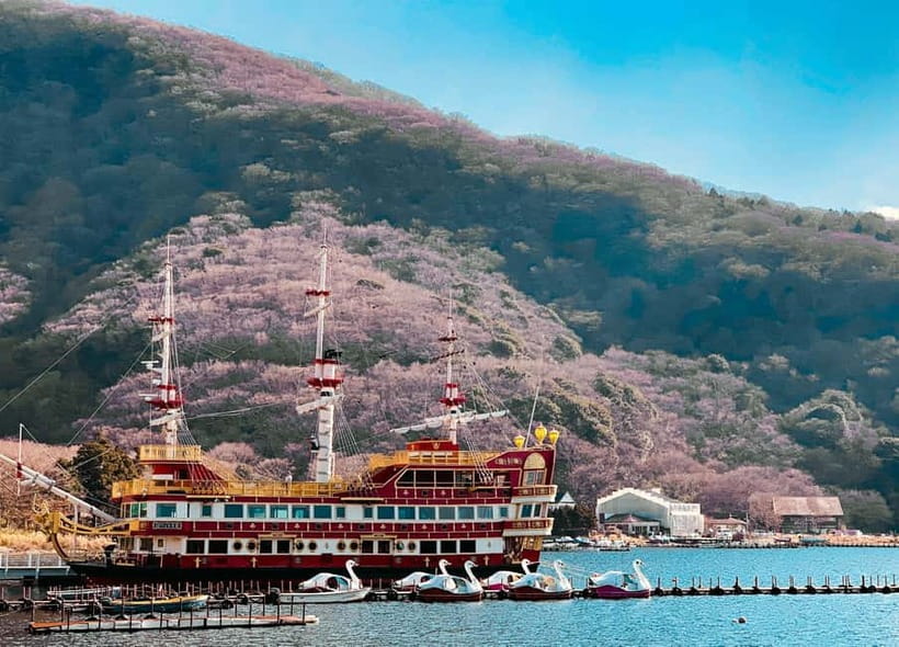 From Tokyo: Hakone Day Trip with English Speaking Driver - The private car advantage: you choose pace, not crowds