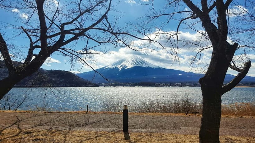From Tokyo: Hakone Day Trip with English Speaking Driver - Arakura Sengen Shrine and the five-storied pagoda view