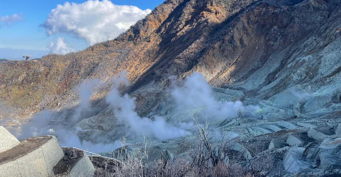 From Tokyo: Hakone Full Day Customizable Private Tour - Tokyo pickup and the 9–10 hour reality check