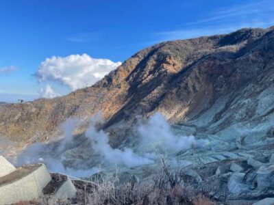 From Tokyo: Hakone Full Day Customizable Private Tour - Hakone Shrine: a calm start before the steam
