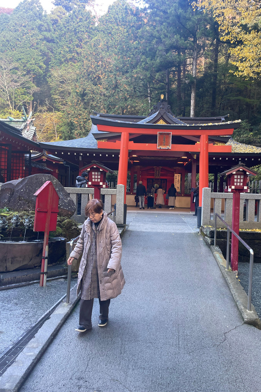 From Tokyo: Hakone Full Day Customizable Private Tour - Lake Ashi sightseeing cruise: your moving photo deck