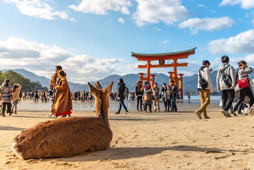 From Tokyo: Hiroshima and Miyajima Day Trip by Bullet Train - How the Tokyo to Hiroshima Shinkansen day works