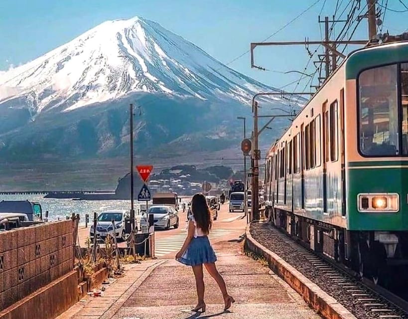 From Tokyo: Kamakura and Enoshima Full-Day Private Trip - Lunch Plans: What’s Included and What You Need to Arrange