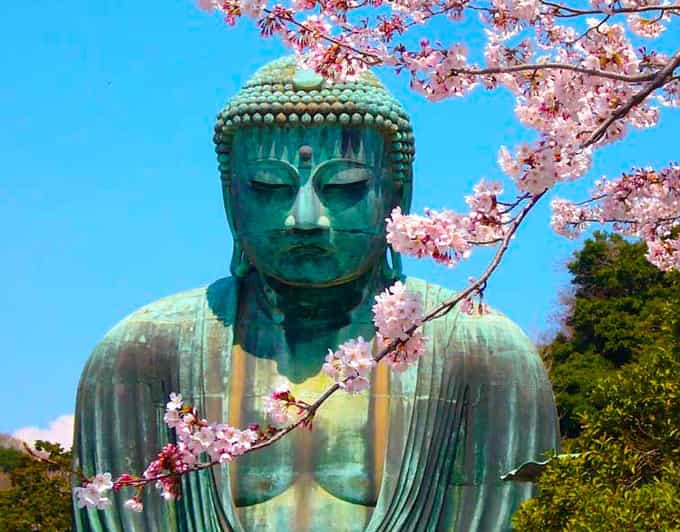 From Tokyo: Kamakura and Enoshima Full-Day Private Trip - Hotel Pickup and Private Transport: Comfort Plus Fewer Headaches