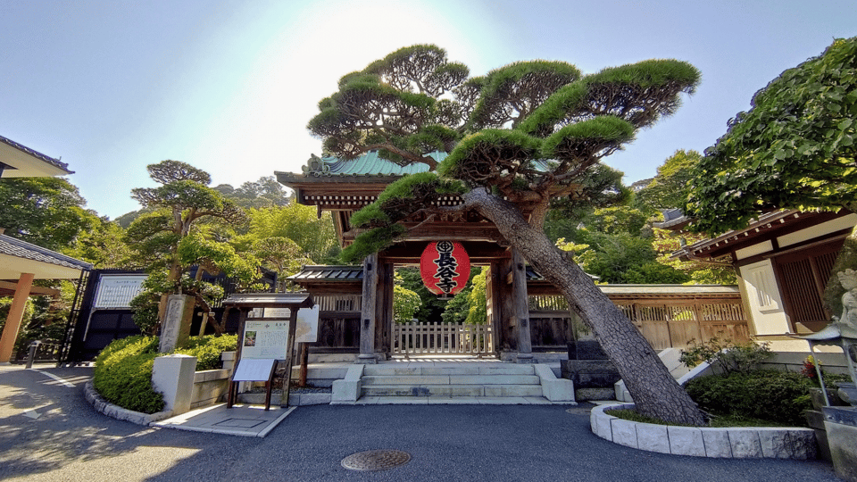 From Tokyo: Kamakura Full Day Tour with a Local Expert Guide - Zen temples and garden walks: the calm part you’ll remember