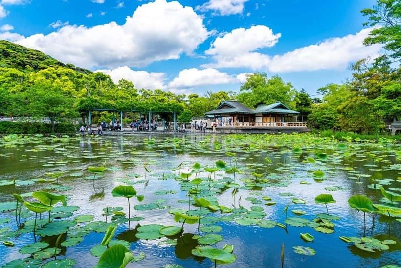 From Tokyo: Kamakura, Great Buddha, and Enoshima Bus Tour - The Enoden Train Along the Coast: A Retro Break from Walking
