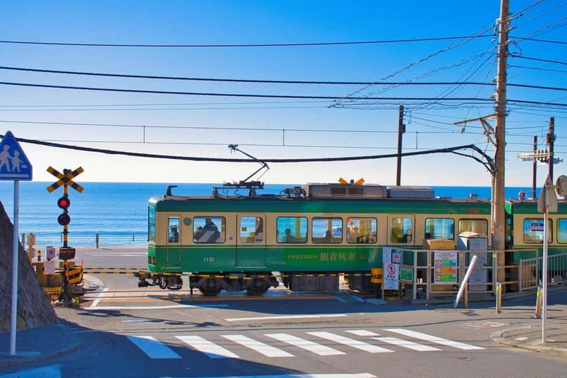 From Tokyo: Kamakura, Great Buddha, and Enoshima Bus Tour - Getting There on Time: The Shinjuku Meet-Point Details That Matter