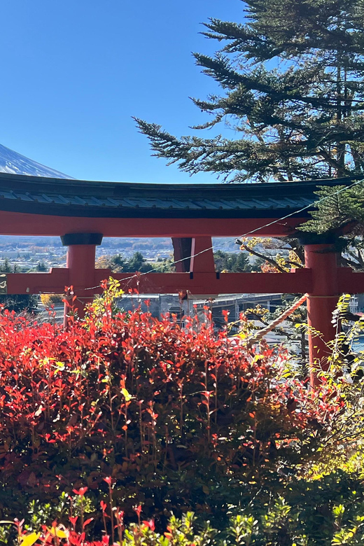 From Tokyo MOUNT FUJI and Lake Kawaguchi-ku Full Day Tour - Who This Tour Fits Best (and Who Should Skip It)