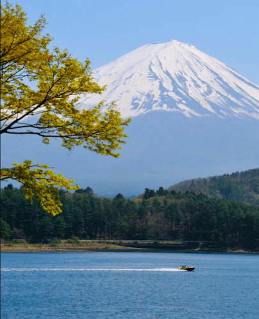 From Tokyo: Mount Fuji Full Day Customizable Private Tour - Oshino Hakkai Spring Ponds: Why This Stop Feels Different