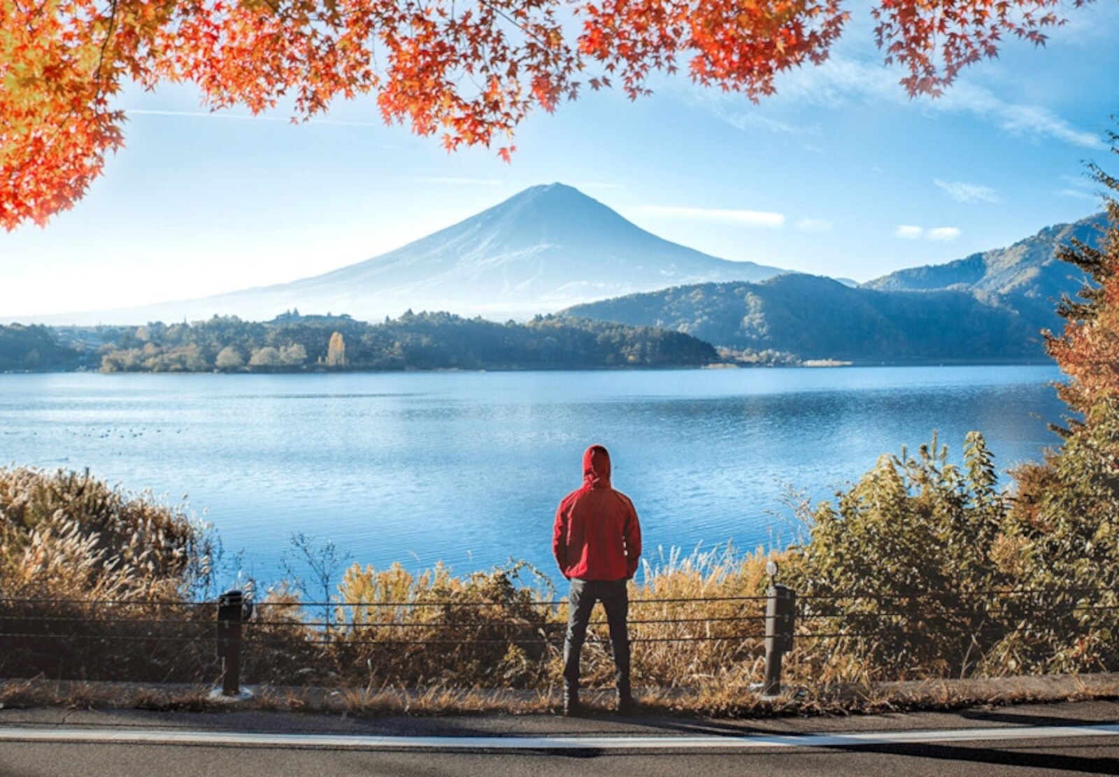 From Tokyo: Mount Fuji Full Day Customizable Private Tour - Lake Kawaguchi and Oishi Park: Fuji in the Distance, and That Matters