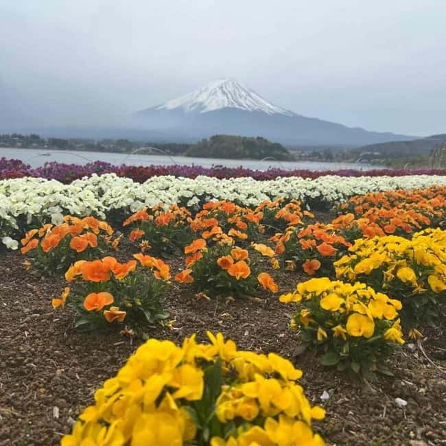 From Tokyo: Mount Fuji Full Day Private Tour (Customizable) - Lake Kawaguchi: trading crowds for choices on the water