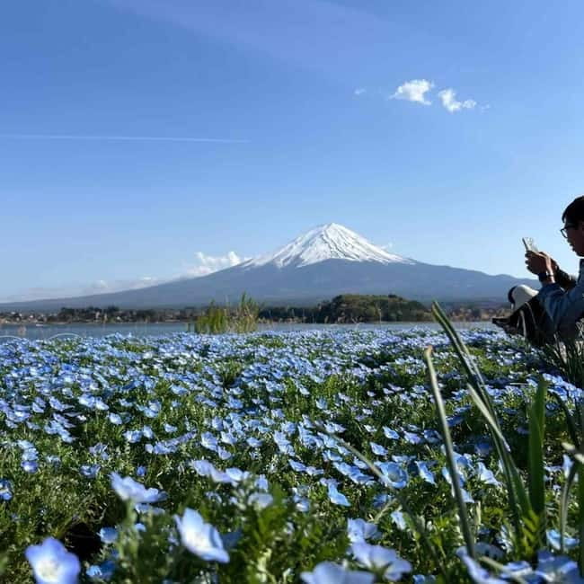 From Tokyo: Mount Fuji Full Day Private Tour (Customizable) - Lunch reality: what’s included and what you’ll pay for