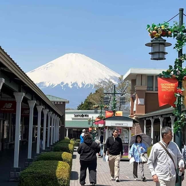 From Tokyo: Mount Fuji Full Day Private Tour (Customizable) - Hakone add-ons: the flexible plan for weather and timing