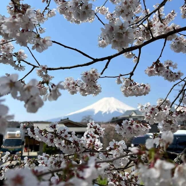 From Tokyo: Mount Fuji Full Day Private Tour (Customizable) - Gotemba Premium Outlets: a practical shopping buffer