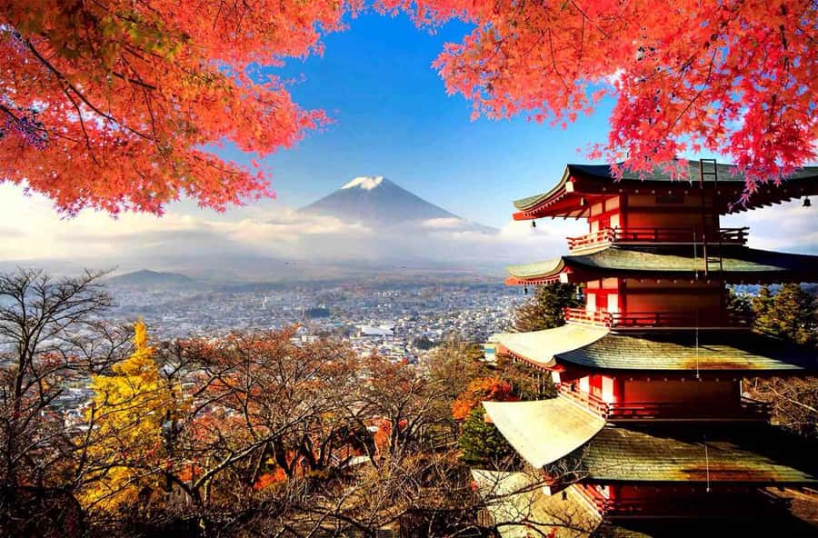 From Tokyo: Mount Fuji Full Day Private Tour English Guide - Key Stops That Make This Day Feel Worth It
