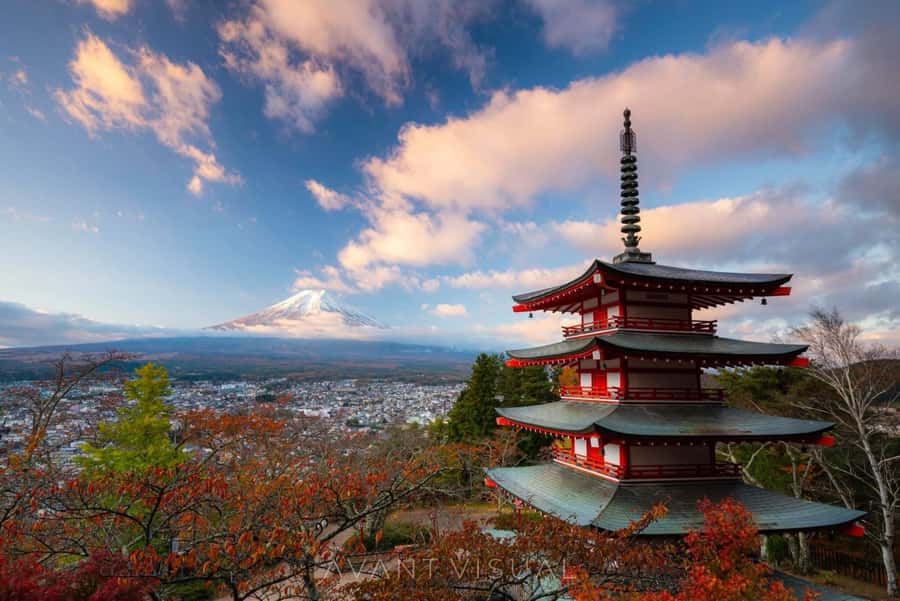 From Tokyo: Mount Fuji Full Day Private Tour English Guide - Why This Private Mount Fuji Day Works Better Than a Bus Tour