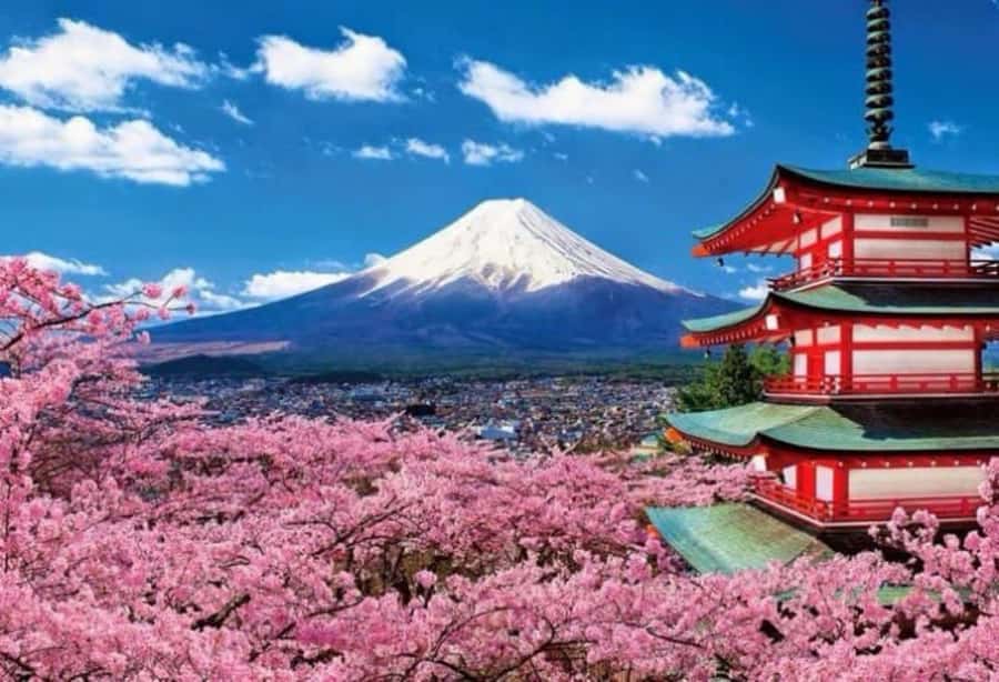 From Tokyo: Mount Fuji Full Day Private Tour English Guide - Kita-Guchi Shrine Area: A More Grounded Fuji Moment