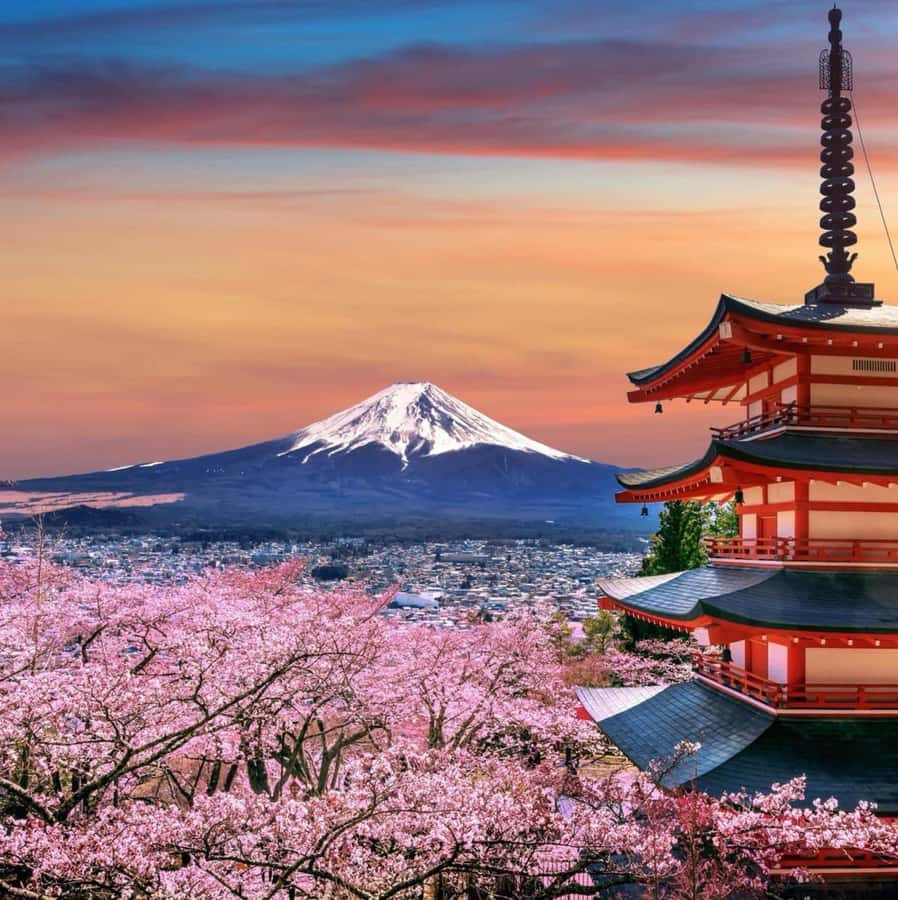 From Tokyo: Mount Fuji Full Day Private Tour English Guide - How the English-Speaking Guides Actually Improve Your Day
