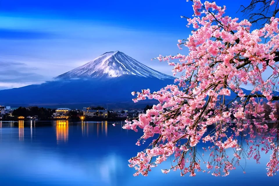 From Tokyo: Mount Fuji & Hakone Full Day Private Tour - Key Things I’d Remember About This Private Fuji and Hakone Day