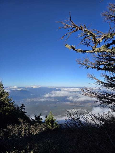 From Tokyo: Mount Fuji & Hakone Full Day Private Tour - Saiko Iyashi-no-Sato Nenba: Thatched Roofs and a Slower Tempo