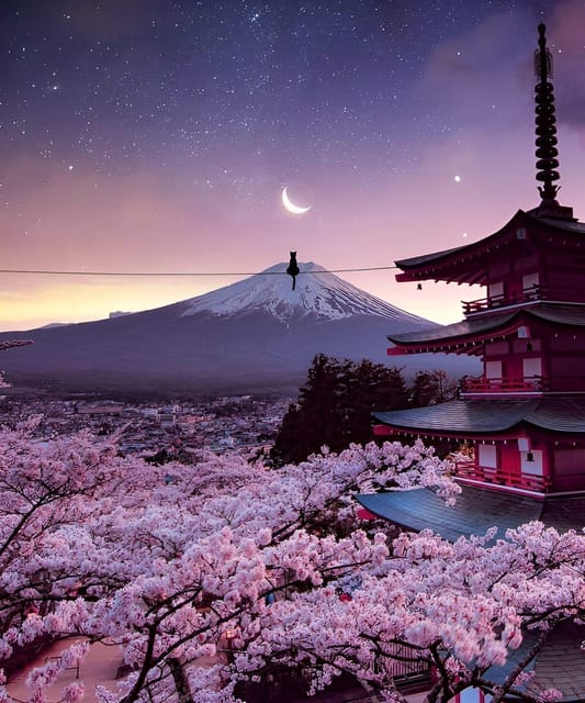 From Tokyo: Mount Fuji & Hakone Full Day Private Tour - Owakudani Valley: Where Hakone Feels Alive