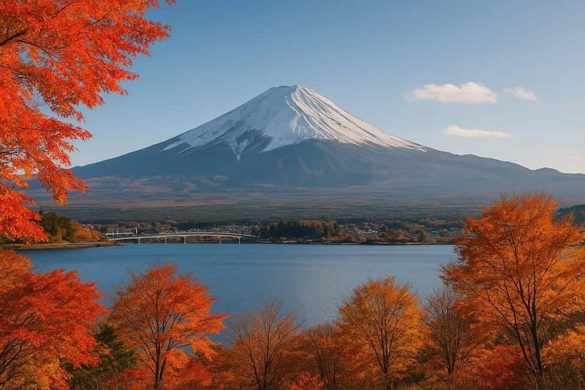 From Tokyo: Mount Fuji One-Day Private Customizable Tour - Who This Tour Suits Best in Real Life