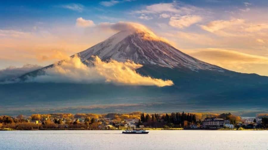From Tokyo : Mount Fuji Private Day Tour with English Driver - Who this private Fuji tour is best for