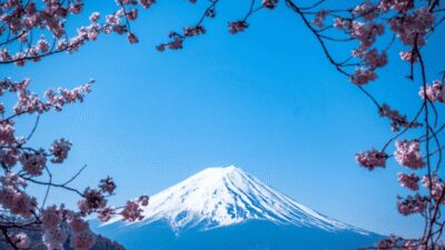 From Tokyo: Mount Fuji Private Day Tour With English Guide - Route options: Fuji Five Lakes plus Hakone in one long day
