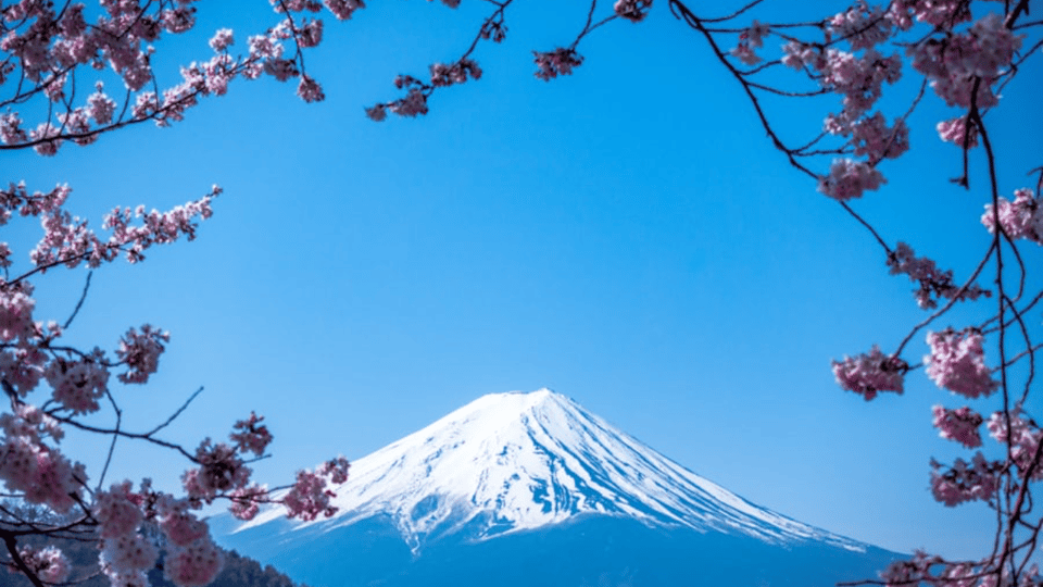 From Tokyo: Mount Fuji Private Day Tour With English Guide - Route options: Fuji Five Lakes plus Hakone in one long day