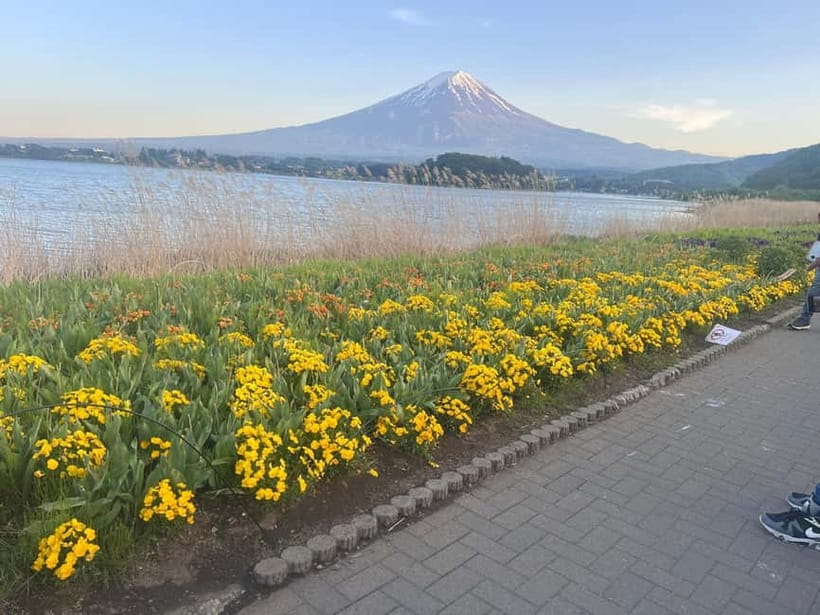 From Tokyo: Mount Fuji Private Tour with a Driver/Guide - How This Private Fuji Day Works from Tokyo
