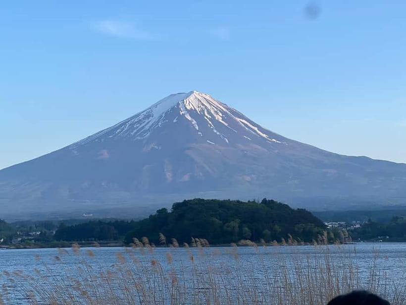 From Tokyo: Mount Fuji Private Tour with a Driver/Guide - Chureito Pagoda and Oshino Hakkai: Fuji at Ground Level