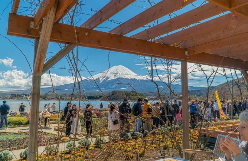 From Tokyo: Mount Fuji Private Tour with a Driver/Guide - Lake Kawaguchi and Oishi Park: Fuji Reflections and Lake-Air Breaks