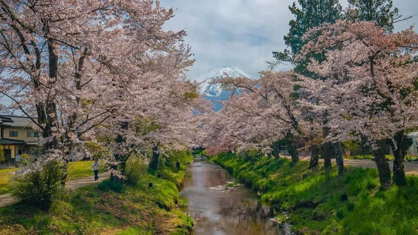 From Tokyo: Mount Fuji Private Tour with a Driver/Guide - Mt. Fuji 5th Station: The Best Starting Point for Big Views