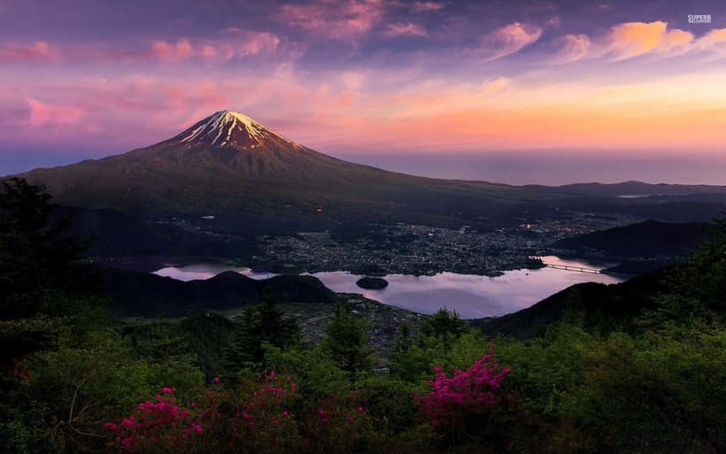 From Tokyo: Mount Fuji Private Tour With English Guide - The real value of a private Mount Fuji day (up to 6 people)