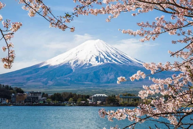 From Tokyo: Mount Fuji Private Tour With English Guide - Chureito Pagoda: Fuji framed like a postcard