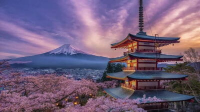 From Tokyo: Mount Fuji Private Tour With English Guide - Pickup to first viewpoints: getting set up for Fuji success