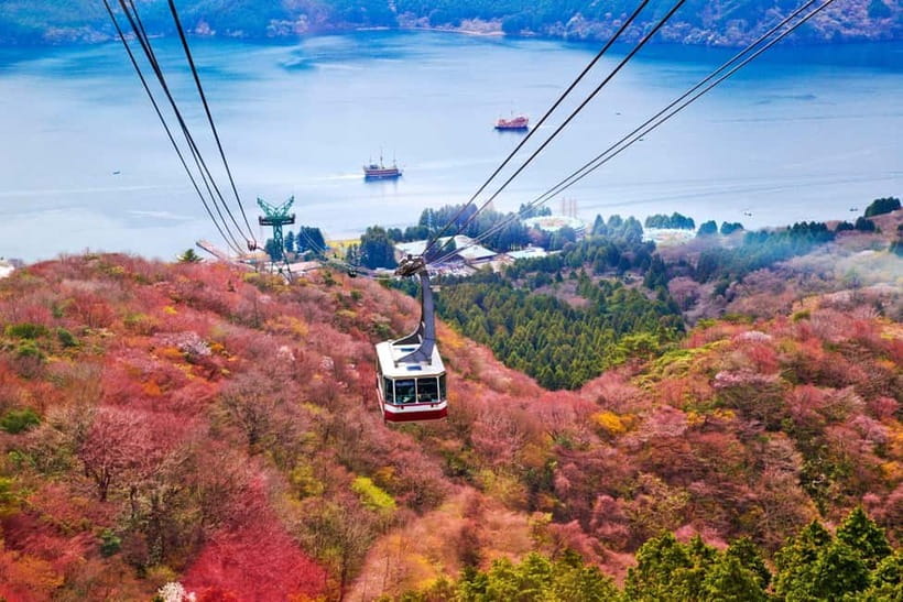 From Tokyo: Mount Fuji Private Tour With English Guide - Arakura Sengen Shrine and the five-story pagoda viewpoint
