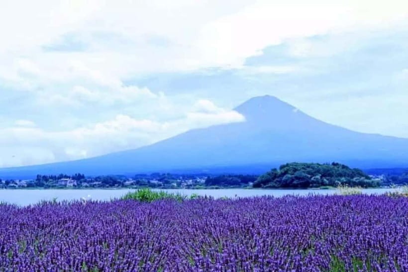From Tokyo: Mt. Fuji 5th station and Oshino Hakkai Day Trip - Key things to know before you go