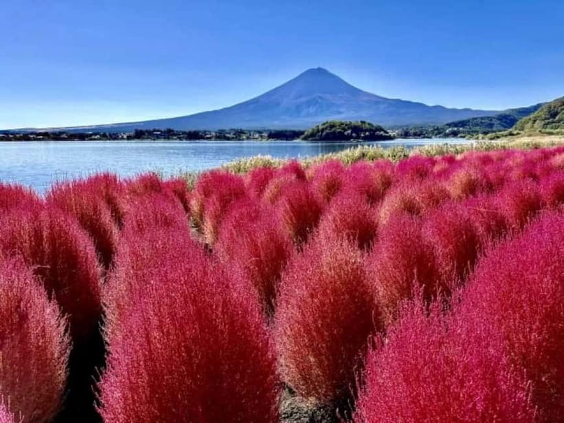 From Tokyo: Mt. Fuji 5th station and Oshino Hakkai Day Trip - Guide quality and timing: why Helen and Jenny made the day better