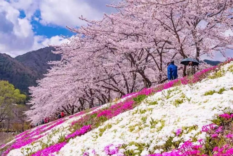 From Tokyo: Mt. Fuji 5th station and Oshino Hakkai Day Trip - The real value in the $103 price tag