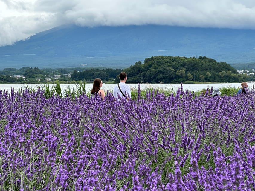 From Tokyo: Mt.Fuji & Gotemba Private Customizable Day Trip. - Price and value: what $483 per group really buys you