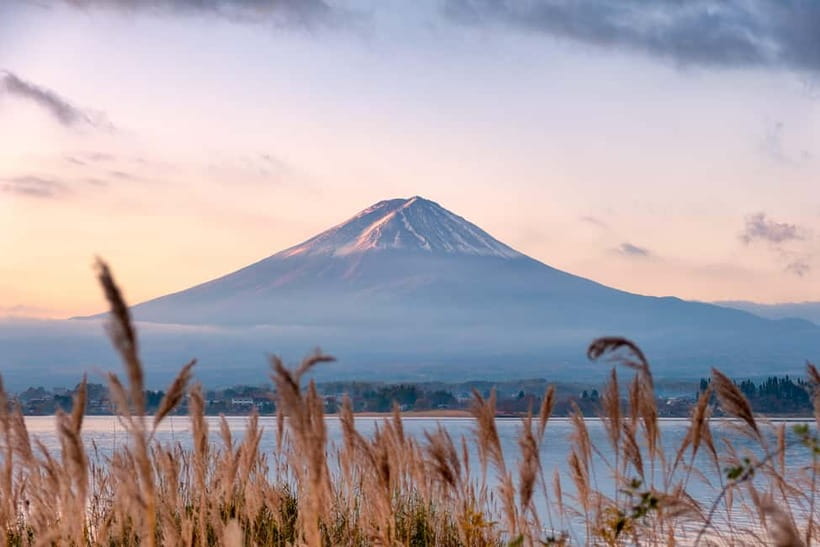 From Tokyo: Mt.Fuji & Gotemba Private Customizable Day Trip. - Oishi Park on Lake Kawaguchi: flowers, viewpoints, and a slower pace